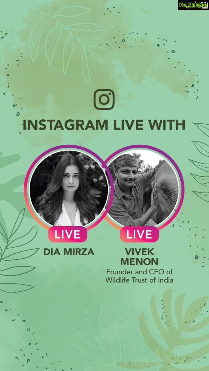 Dia Mirza Instagram - It is #WorldEnvironmentDay 🌏 and I’m very excited to speak with the Founder & CEO of Wildlife Trust of India - Mr. Vivek Menon who is my second guest on #DownToEarthWithDee ! @vivek4wild Vivek is my hero! Working with him on wildlife protection in India has defined my purpose. He has been instrumental in the growth and brilliant work being done by the @wildlifetrustofindia. A nature lover through and through, every cell in his body is devoted to the well-being of our natural heritage. His passion and drive for wildlife conservation is unmatched! I encourage all of you to join us our conversation as we talk about the work he has done, the work he is doing and how each and every one of us can do our part in protecting the lives of all animals! #StayHome #ForeverWild #OnePeopleOneWorld #ForNature #ForPeopleForPlanet @uninindia @unep @unsdgadvocates @unitednations