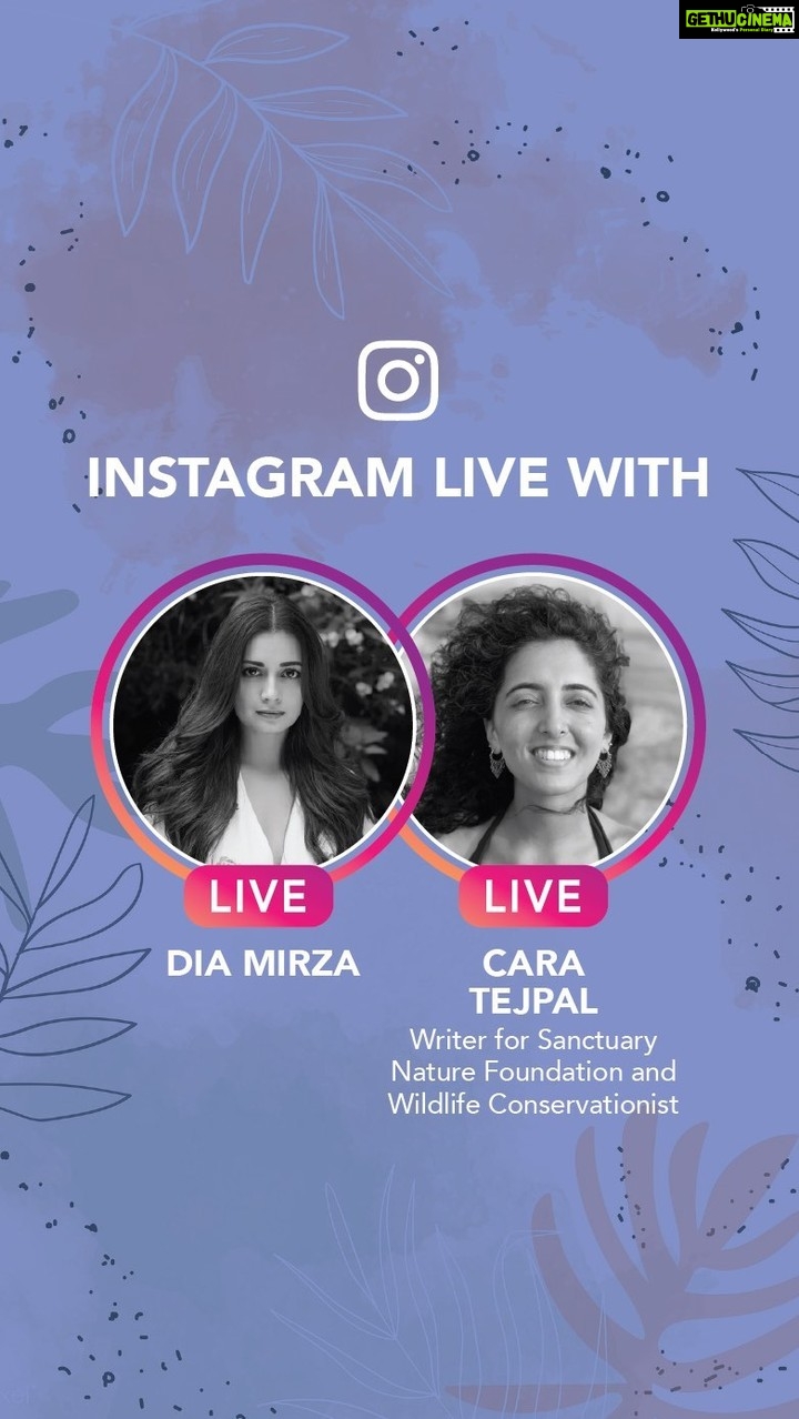 Dia Mirza Instagram - Happy #WorldEnvironmentDay 🌏 My first guest today on #DownToEarthWithDee is wildlife conservationist and writer of a wildlife magazine with the Sanctuary Nature Foundation, Cara Tejpal! @carapiranha Sanctuary Nature Foundation was founded in 2015 building on the work of Sanctuary Asia @sanctuaryasia. Cara’s work and what she does to ensure the safety of wildlife and habitat protection in our country is inspiring! A powerful champion of nature her #MudOnTheBoots project empowers grassroots conservationists and she continues to champion many national campaigns for the conservation and protection of our natural habitats. 🌳🦋🐝🦏🐯🐘🐳🦍💧🌏 I hope you are as inspired by her compassion and humanity as i am. #StayHome #OnePeopleOneWorld #ForNature #ForPeopleForPlanet @uninindia @unep @unsdgadvocates @unitednations