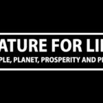 Dia Mirza Instagram - "Every breath of air we take, every mouthful of food we eat, depends upon a healthy natural world" - Sir David Attenborough #ForNature #Biodiversity #ForPeopleForPlanet #NatureBasedSolutions #ClimateSolutions #ActNow @undp @undpinindia @unep @unitednations @unsdgadvocates