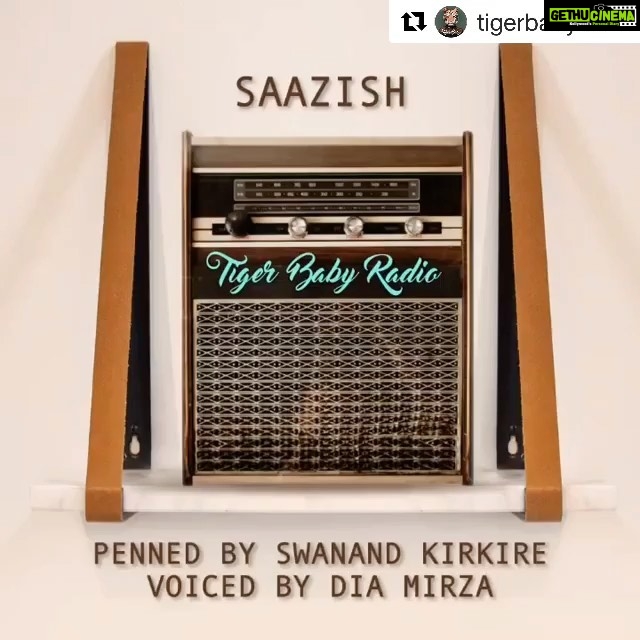 Dia Mirza Instagram - We share our world with many species... the birds are telling us. Will we listen? कितना सुन्दर लिखते हो दोस्त @swanandkirkire Thank you @tigerbabyfilms for sharing stories and bringing us together 🐯 #EarthDay2020 #Repost @tigerbabyfilms with @get_repost ・・・ The birds have returned to the sky. Let’s never forget we share it. ............................................................................................. Poem: Saazish Penned By: Swanand Kirkire Voiced By: Dia Mirza Home
