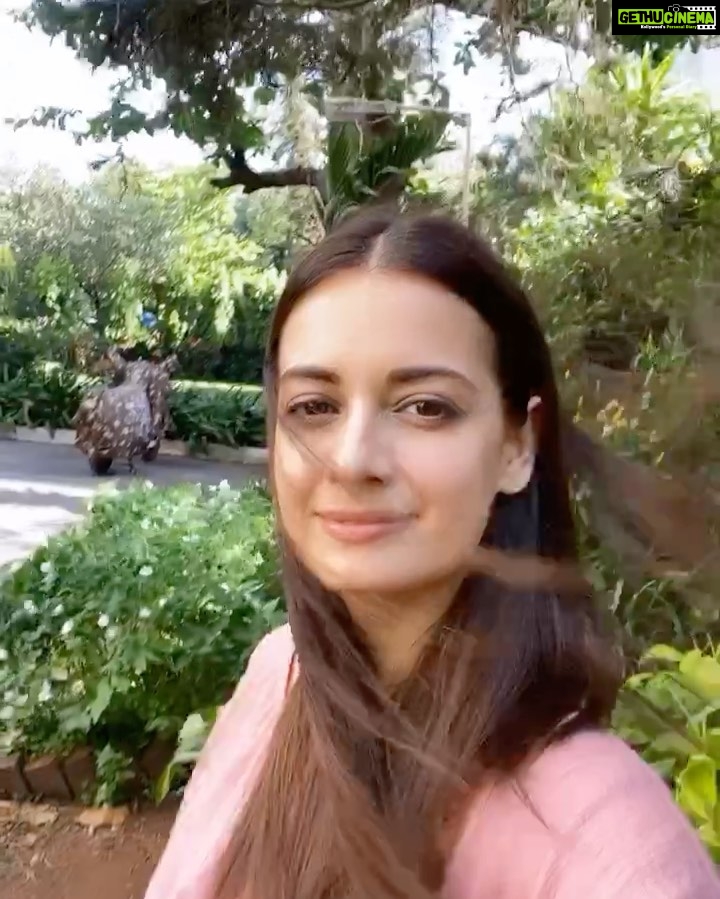 Dia Mirza Instagram - Always been grateful for the birdsong. Staying home has always been peaceful. Keeping hands clean with continued social distancing. Helping those who don’t have access to basic needs. Each ONE can make a difference. #StayHomeStaySafe #StopTheSpread #HelpOthers #COVIDー19 Mumbai, Maharashtra