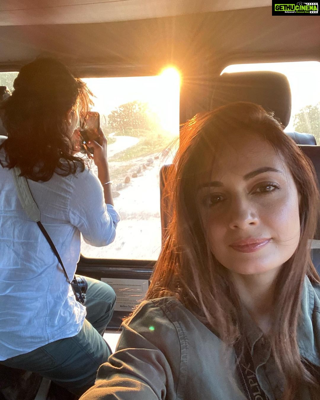Dia Mirza Instagram - Traveling into the wild has given me many stories... narratives that have shaped my humanity. But this one will be my favourite from this memorable trip to #SriLanka. Those that work in service of nature protect and defend humanity. And Keith’s story is a good example 🐘🌏🙃. Keiths salty crocodile story: A 16 and half foot Salty Crocodile is trapped in a verandah. While rescuing it Keith’s hand slipped into the salty crocs mouth, as he was about to pull it out, salty croc snapped the jaw shut. (Crocs have big jaw muscles which allows them to close their mouths quickly but it doesn’t allow them to open their jaws as fast. And they lock their jaw once closed.) One of the prominent canine teeth of the croc (the longest one) on the right side went through and through Keith’s right hand. After he was done securing the croc with his free left hand, while his right hand remained in the crocs jaw for 17mins, he got himself to a hospital, got 26 stitches and is always available to rescue any wild life, any time, night or day. Keith a city boy, born and raised in Colombo, in service of nature all of his 29 years of existence 🙌🏼 💚 @sanctuaryasia @bittusahgal @wildcoastlodge @narniaa @unsdgadvocates @unep @unitednations #ForPeopleForPlanet #SDGs #KidsForTigers #BeatPlasticPollution #CleanSeas #Biodiversity #NatureLove #WildForLife #TravelWithDee Yala, Sri Lanka