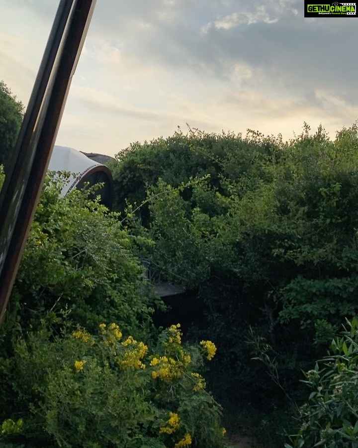 Dia Mirza Instagram - Day 1. Wild Coast Lodge and Yala National Park ๐ Waking up to bird song and the breath taking sight of the Indian Ocean... Isnโt it amazing? When we train our eyes to witness nature we see her everywhere ๐ The meals were local cuisine, vegetarian and delicious! Yala is a birders delight! Spotted and photographed many birds that iโve never seen before and have seen before but can never get enough of... Can you guess the names of the birds in the pictures? Swipe left ๐ @sanctuaryasia @bittusahgal @narniaa #TravelWithDee #SDGs #KidsForTigers #WildForLife Wild Coast Tented Lodge, Yala