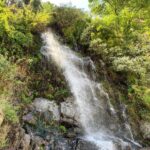 Dia Mirza Instagram – Traveling through #Himachal while filming #Kaafir many such wonders were experienced… may we always have the ability to notice the abundance that #nature provides us with. #travelwithdee #OneIndiaStories #IncredibleIndia #SanglaValley #FlashbackFriday Himachal Pradesh