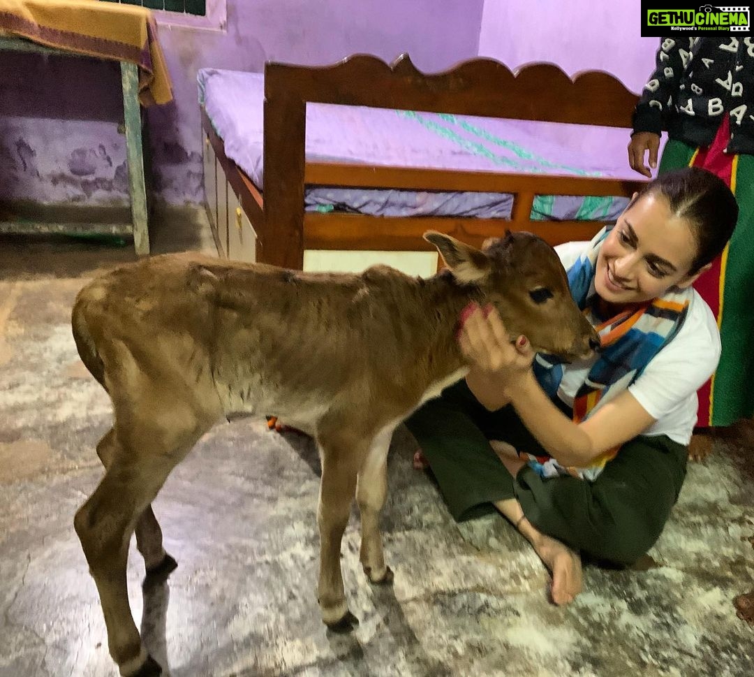 Dia Mirza Instagram - A new family member at Ganesh’s home :) #KharkhadiStories #OneIndiaStories #TravelWithDee