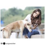 Dia Mirza Instagram - It’s a ‘One-derful’ world 🌏 #OneIndiaStories #Repost @avigowariker with @get_repost ・・・ #PostPackUpShot with the ‘always so lovely’ #BirthdayGirl @diamirzaofficial. She was most happy to be with the canine dudes outside the studio floor.. She gave more time to them than to me 🙄... #HappyBirthdayDia #DiaMirza #shootdiaries #shootmood #shootlife #dogsofinstagram #doglovers #dogstagram #portrait #portrait_mood #portraitphotography #expression #peopleinframe #moment #perspective #quietthechaos #bollywoodlife #bollywoodactor #bollywood #humaneffect #birthday #photooftheday #postthepeople #photogram @sonyalphain #sonyalphain #sonya7riv @profotoglobal