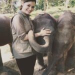 Dia Mirza Instagram - I will never forget the first time i met these beautiful rescued elephant calves. They were so playful and naughty! Kept opening my shoe laces with their trunks 😬 the time spent with them had me smiling and bursting with love and joy 🤩 Let’s celebrate these incredible sentient beings today and every day😍 On this #WorldElephantDay pledge your support to protect and secure the #RightOfPassage to save our #Elephants. Elephants are the gardeners of forests and have walked our Earth for Millenia but now because of human interference that has lead to fragmented forests, loss of forest cover, poaching, roads and highways our Elephants are in peril. Remember every being we share this planet with must be protected to secure the balance of our fragile ecological system that in turn provides us humans with all that we need to survive. Clean Air, water, food, peace and health. 🌏🌳🌱💧🌈🐘 DYK - Elephants have deep family bonds. The herd is led by the matriarch (the female head of a family.) Calves are raised by the entire herd. When males are about 12 years old, they leave the herd to live on their own while the females stay with family herd. Females will often stay with their mothers their whole lives so elephants often become great-grandmothers. Elephants are highly sensitive and caring animals, much like humans. If a baby elephant cries, the herd will touch and caress the baby with their trunks to soothe it. They are highly intelligent animals with complex emotions, feelings, compassion and self-awareness (elephants are one of very few species to recognize themselves in a mirror!). Support organisations like @wildlifetrustofindia to help protect our National Heritage Animal the Elephant. #ForeverWild #SDGs #GlobalGoals #ForPeopleForPlanet #ForNature #WildForLife India