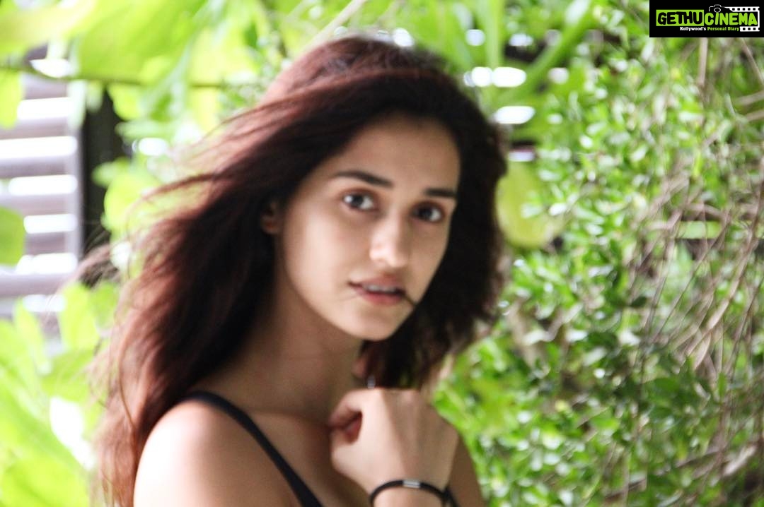 Disha Patani Instagram - When you try to be all posy and end up eating your own hair😜😜😜😂😂🐻