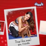 Disha Patani Instagram - Spending time with my pets boosts my mood and health. And to take care of my pet's growth and health, I choose @droolsindia Keep your pets happy the way they keep you! #ad #Sponsorship