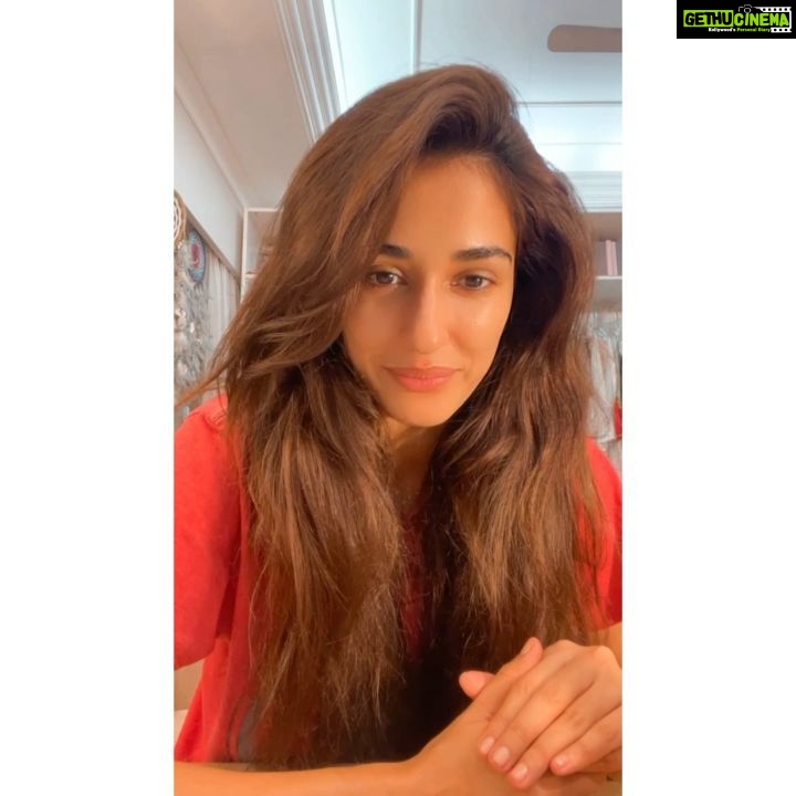 Disha Patani Instagram - While no two days can be the same, my hair can definitely be. Thanks to WOW Skin Science Red Onion Black Seed Oil Ultimate Hair Care Kit. It’s time you, let your hair experience the best benefits of natural ingredients. Go checkout www.buywow.in and say hello to #WOWHairdays #NatureInspiredBeauty #WOWSkinScienceIndia #OnionCareForYourHair #GoOnAndOnion @wowskinscienceindia