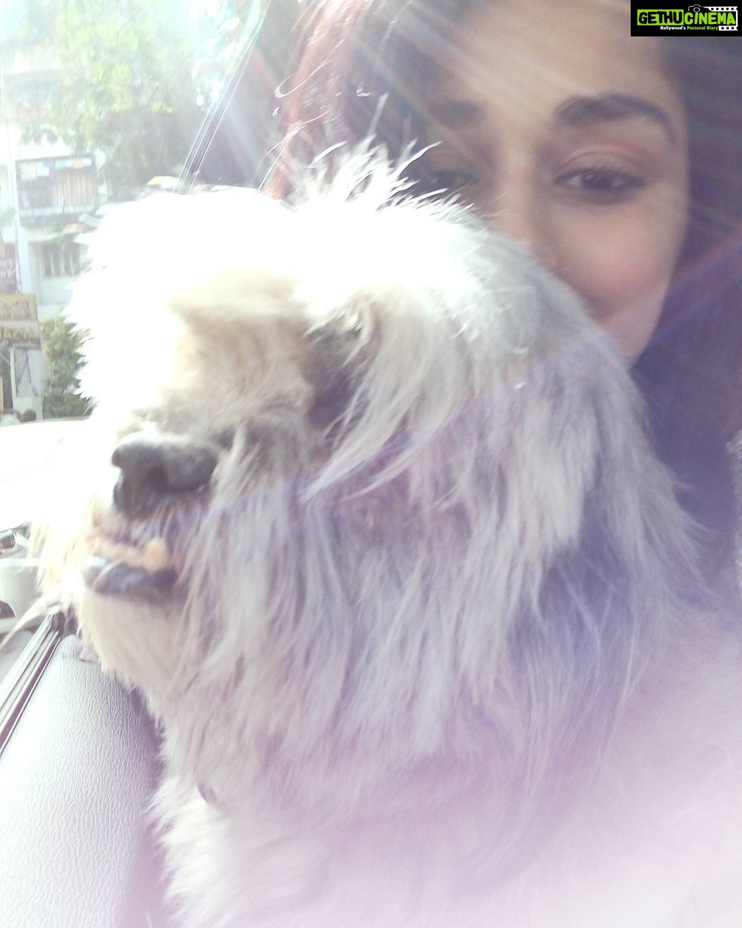 Disha Patani Instagram - Jerry and me going for a long drive ☺☺