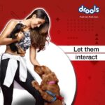 Disha Patani Instagram - When it comes to rewarding my pet for his best performance I pick tasty and nutritious treats from @droolsindia! #Drools #FeedRealFeed #Clean #DroolsTreats #ad #Sponsorship