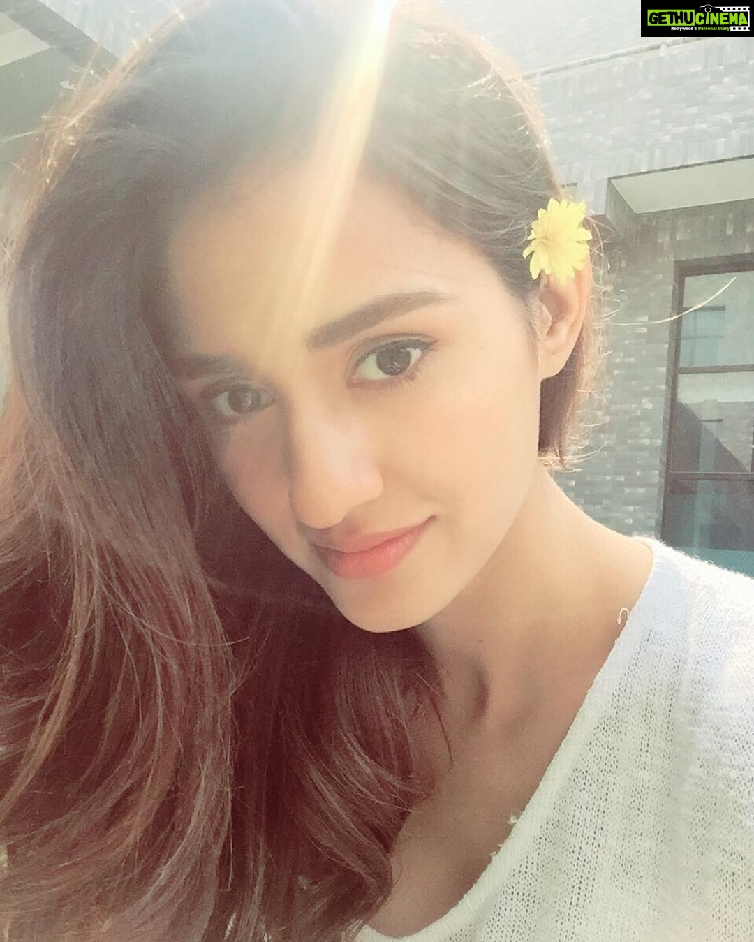 Disha Patani Instagram - And how i love putting these beautiful pieces behind my ear! I guess nature is the most precious and beautiful accessory to wear! ❤️🌺❤️ i guess the most expensive one too, since it contains life, we shall call it "priceless" #ashmita