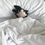 Disha Patani Instagram - My little goku still sleeping, c'mon baby we have to go to work😜🌺🌺🙈🙈 wake upppp 💃🏻🌺❤️😊#alltimelove#alltimecrush#goku ❤️🌺❤️