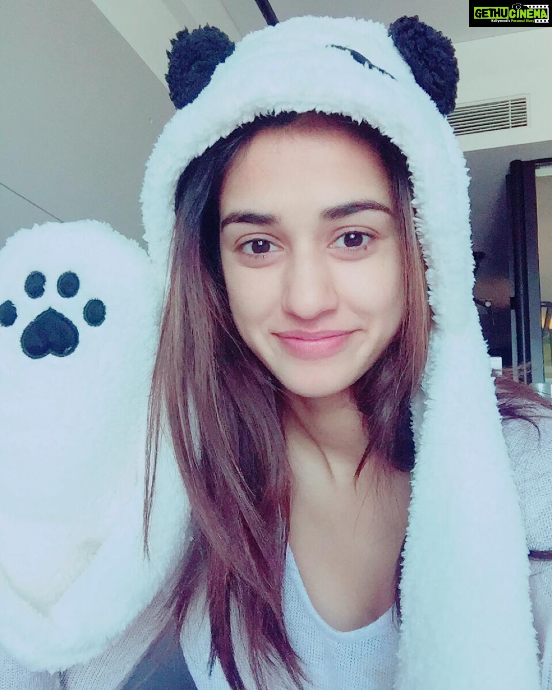 Disha Patani Instagram - Happy valentine's day geeksss❤️❤️🌺🌺❤️ hope you have a great day with your loved ones( could be friends, family or the special ones) ! Surprise, cuddle, pamper, kiss! Enjoyy😊🌺 and dont forget to eat a lot of sweets😊🌺