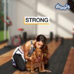 Disha Patani Instagram - Meet my perfect workout partner! To keep your furry companions healthy always , Feed them real food from @droolsindia. #Drools #FeedRealFeedClean #ad #sponsorship