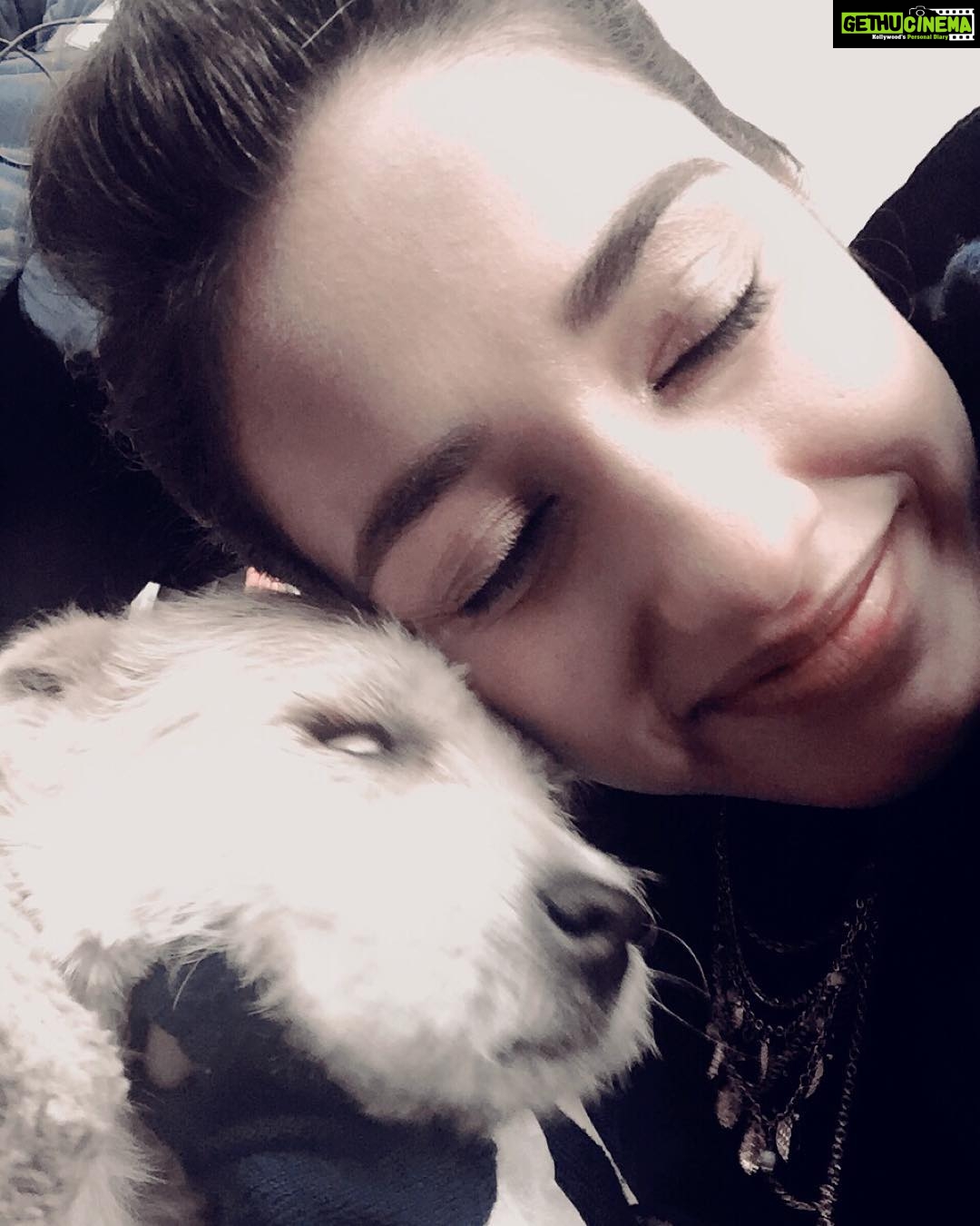 Disha Patani Instagram - When you find happiness ❤️❤️❤️❤️❤️❤️ these adorable creatures "selfless lovers" ❤️🌺🌺❤️❤️