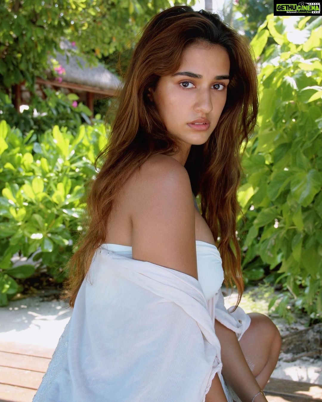 Disha Patani - 2 Million Likes - 🌞