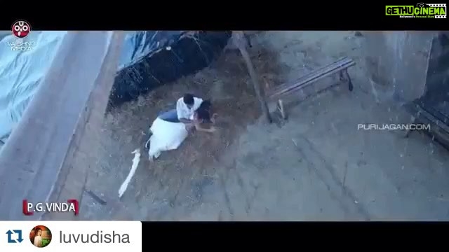 Disha Patani Instagram - #jiyajale part2 #loafer song promo to hear the whole track please follow the link 😊 http://youtu.be/1jZSxH7rWPY #toabhmanagement @sangeetasikdarbhatia @toabhmanagement @varunkatochtoabh