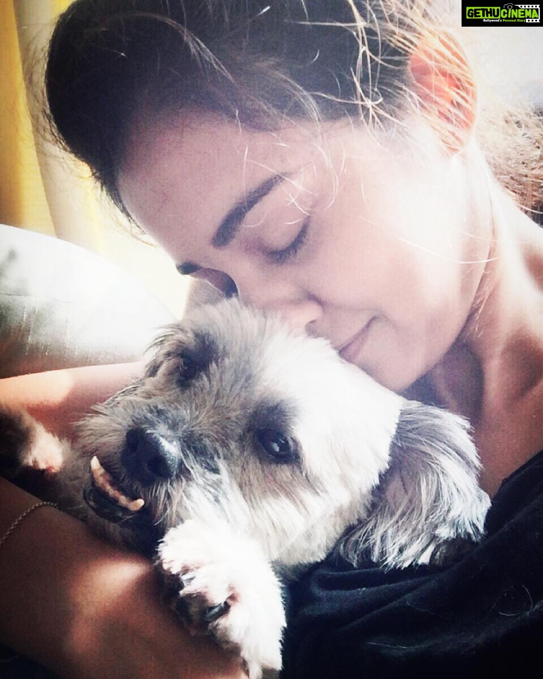 Disha Patani Instagram - Love of my life ❤️❤️❤️ jerry ❤️❤️❤️ #unconditionallove