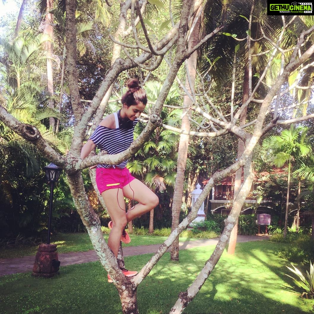 Disha Patani Instagram - Days in goa, homeless jobless 😜😜 give me a shelter! 😝😝😝😝