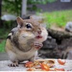 Disha Patani Instagram - When i am eating 😝😊😋