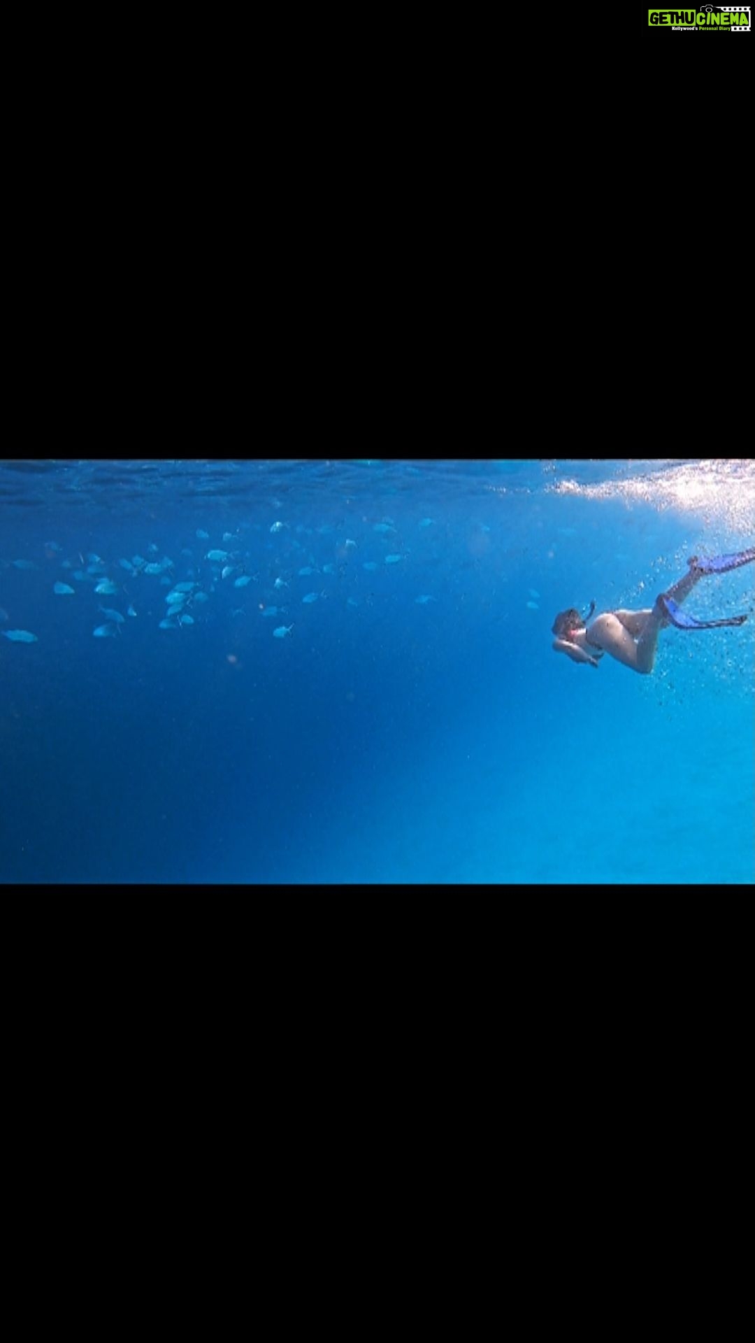 Disha Patani Instagram - 🐠🐬making some friends 🐙