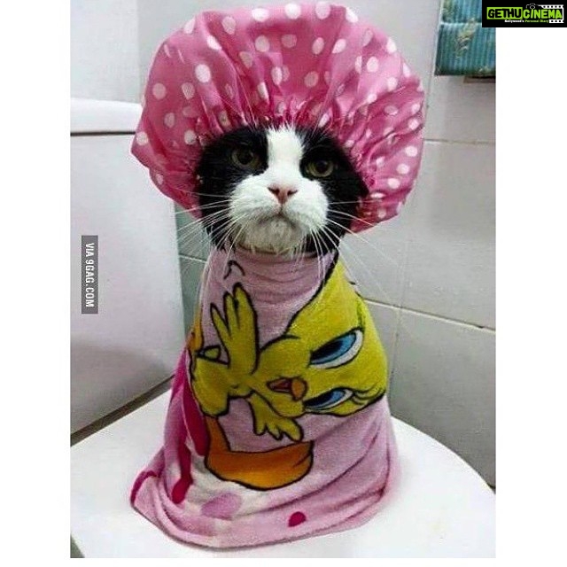 Disha Patani Instagram - Me coming out of the shower, when it's too cold outside 😛😛😛