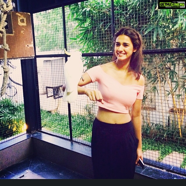 Disha Patani Instagram - The coolest office "cave" 😍😍
