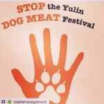 Disha Patani Instagram - Stop the yulin dog meat festival! Please act human! Support love! #dogs#love#bestfriends#loyal#theyneedlove#dontactinhuman#stopthisopenslaughter#spreadlove#