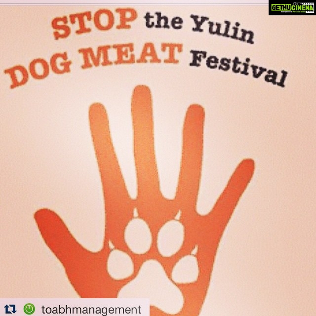 Disha Patani Instagram - Stop the yulin dog meat festival! Please act human! Support love! #dogs#love#bestfriends#loyal#theyneedlove#dontactinhuman#stopthisopenslaughter#spreadlove#
