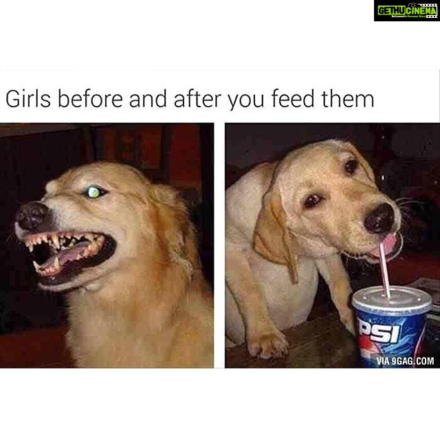 Disha Patani Instagram - Hahaaa this is me 😂😂😂😂😂😂
