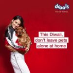 Disha Patani Instagram - @droolsindia This Diwali Make sure that you take care of your furry friends and be considerate towards strays around you because this Diwali it is all about #CompassionNotCruelty #drools #FeedRealFeedClean #Ad #Sponsorship