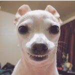 Disha Patani Instagram - That's how i look when people ask me to smile for camera 😜😜😜😂😂