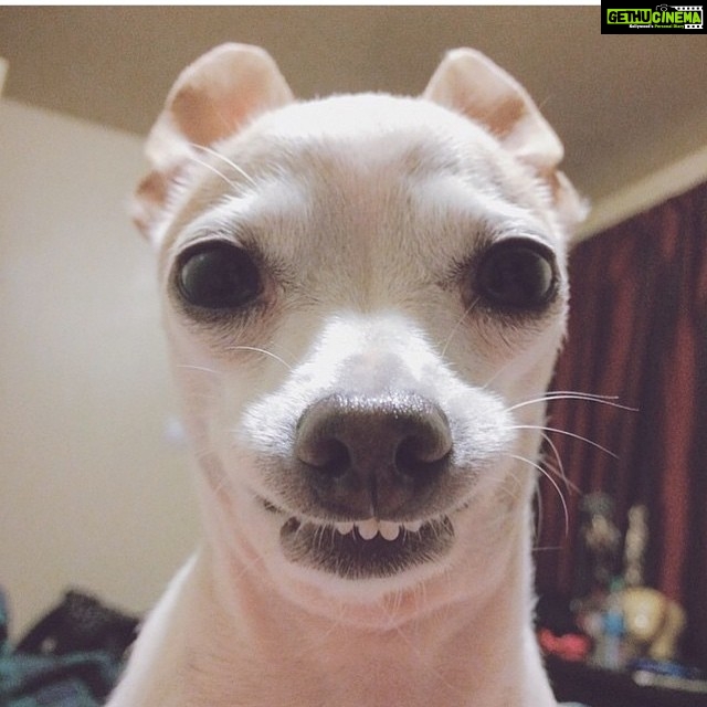 Disha Patani Instagram - That's how i look when people ask me to smile for camera 😜😜😜😂😂