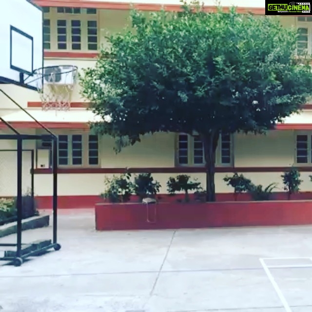 Disha Patani Instagram - Gm 😜 vellapanti 💀