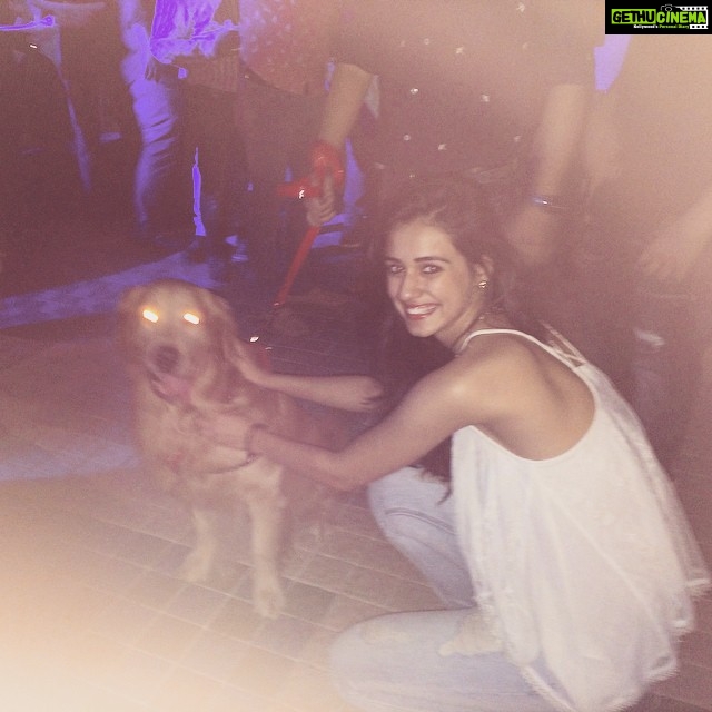 Disha Patani Instagram - This dog is not a normal dog, he has got ultra laser eyes hahaaaa 😜😜 watch out 💀💀