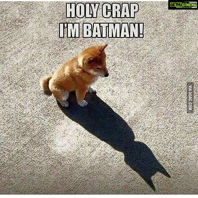 Disha Patani Instagram - And that's what happened to me! Shit i am supergirl 😜😜😜😜