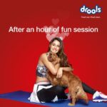 Disha Patani Instagram - Help your dog to stay in shape with @droolsindia ! Feed them a meal full of REAL nutrition after every workout session. #Drools #FeedRealFeedClean #DogNutrition #Ad #Sponsorship