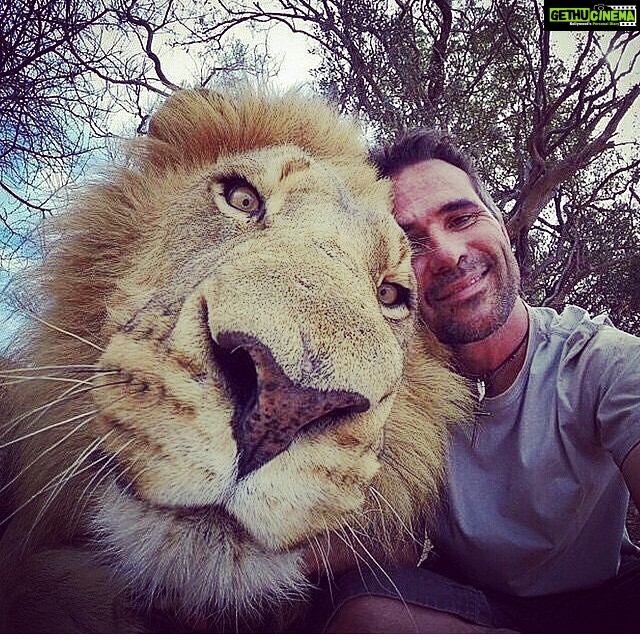 Disha Patani Instagram - I want a selfie like this man #maybe someday soon #discovery dream #killer 😍😍