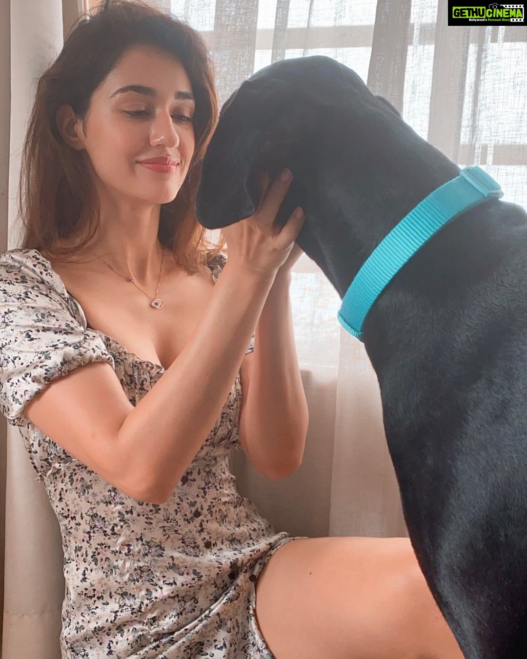 Disha Patani - 2.2 Million Likes - 🌸