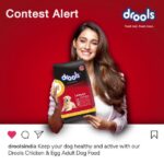 Disha Patani Instagram - I choose @droolsindia, for my pawsome buddy to boost his growth and development with the benefits of real nutrition. What’s your #SwitchToRealNutrition story? Tag @droolsindia and share now! #Drools #DroolsIndia #FeedRealFeedClean#ad #sponsorship