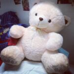 Disha Patani Instagram – Maha teddy# hahaaaa 🐸😱😛