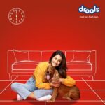 Disha Patani Instagram - @DroolsIndia When it comes to my furry friend's meal, I make sure to feed him at the right time and pick the best pet food. #DroolsIndia #FeedRealFeedClean #FeedDrools #ad #sponsored