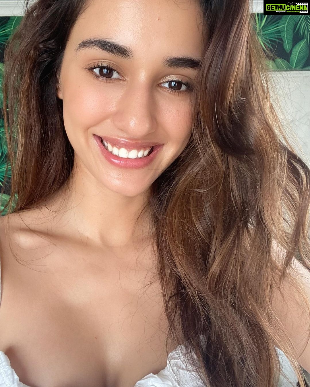 Disha Patani - 2 Million Likes - 🌸