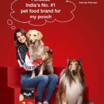 Disha Patani Instagram - I choose @Droolsindia for my pooch’s mealtime essentials and urge all pet parents to do the same. #DroolsIndia #VocalForLocal #FeedRealFeedClean #ad