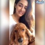 Disha Patani Instagram - Let us all do our bit by supporting @droolsindia to ‘Feed The Strays’ https://bit.ly/DroolsDonationDrive For every donation you make, Drools will make an additional donation of 25% in form of food to animal welfare NGO's. To donate click link in bio or visit drools page #Drools #Feedthestrays #ad #sponsorship