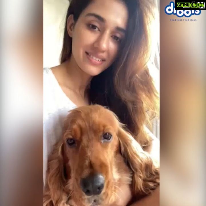 Disha Patani Instagram - Let us all do our bit by supporting @droolsindia to ‘Feed The Strays’ https://bit.ly/DroolsDonationDrive For every donation you make, Drools will make an additional donation of 25% in form of food to animal welfare NGO's. To donate click link in bio or visit drools page #Drools #Feedthestrays #ad #sponsorship