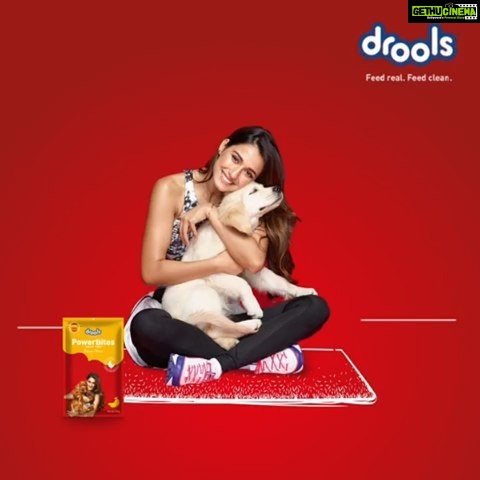 Disha Patani Instagram - With @droolsindia’s yummy PowerBite Treats, teaching my furry friend a new behavior is easy and fun! #Drools #FeedRealFeedClean #ad #sponsorship
