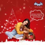 Disha Patani Instagram – Merry Christmas and a woofy New Year. Have you tried the Drools Christmas filter? 
#Drools @droolsindia  #FeedRealFeedclean #ad #sponsorship